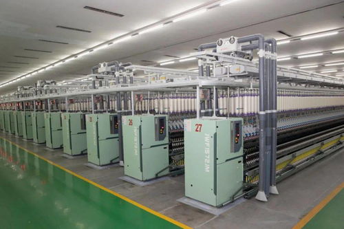 杜小剛調研企業運行與新建高校發展，強調技術開發與人才培養雙輪驅動